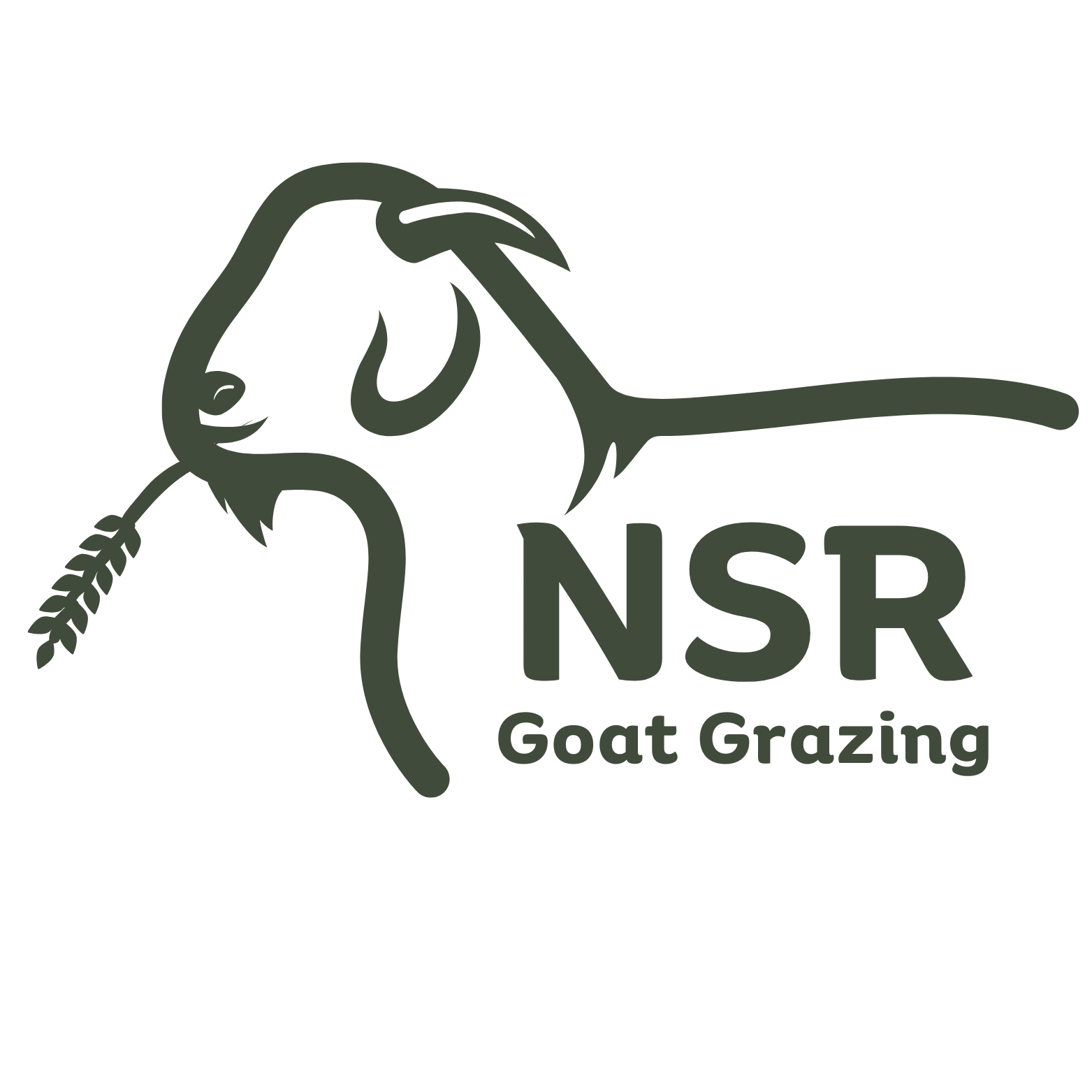 Natures Surprise Ranch LLC Goat Grazing